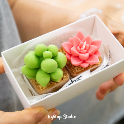 迷你多肉植物盆栽蠟燭 工作坊